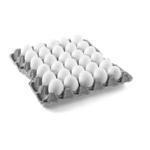Egg Tray(30 units)
