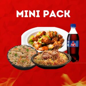 Mini Biryani Combo