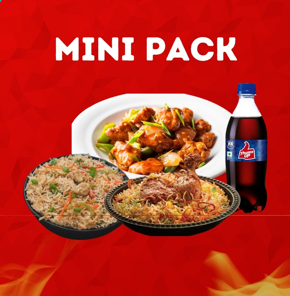 Mini Biryani Combo
