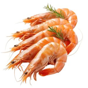 Big Tiger Prawns
