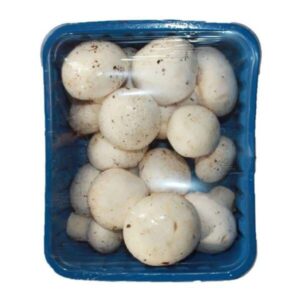 Fresh Mushrooms