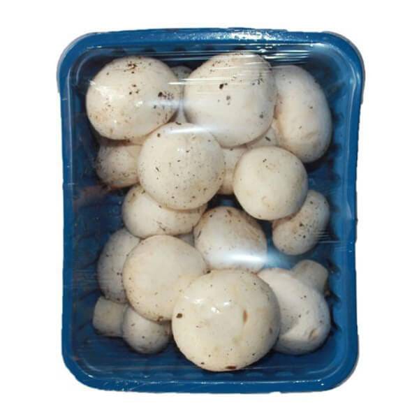 Fresh Mushrooms
